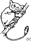 anyvc logo